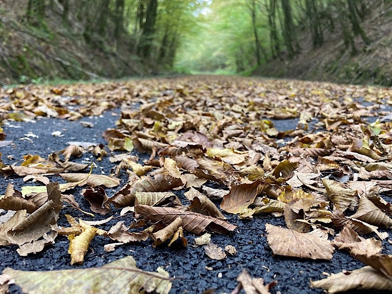 How you remind me : de La Louvière à&nbsp;Fourmies