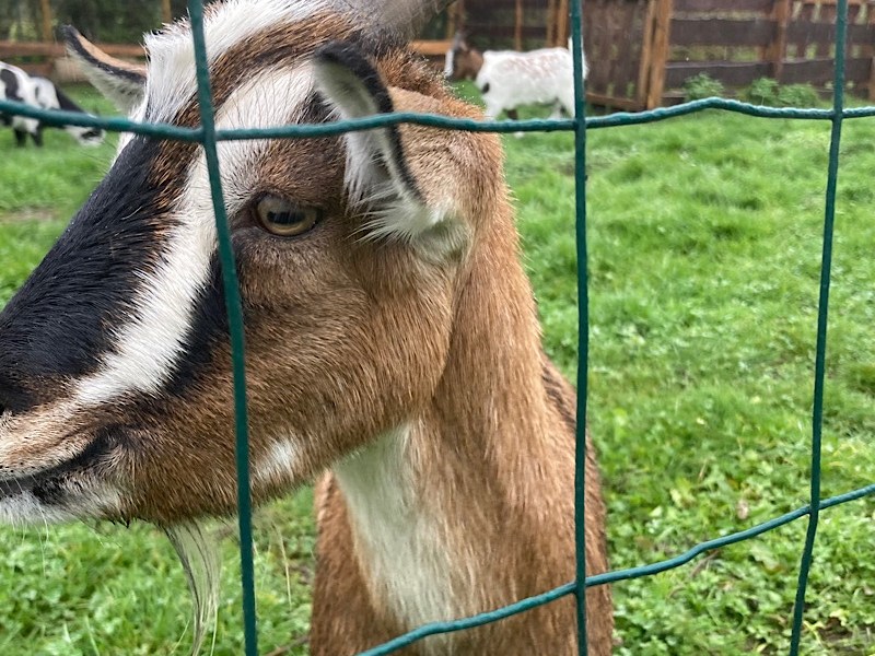 All your lies : de Fourmies à Mézières-sur-Oise