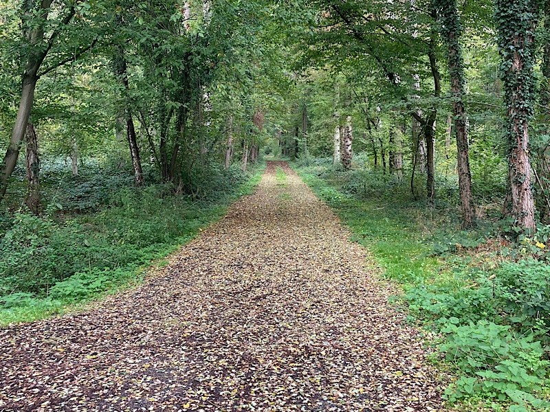 Leper Messiah : de Mézières-sur-Oise à&nbsp;Compiègne