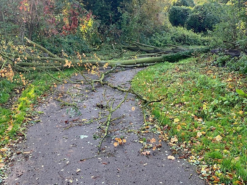 Dancing in the dark : de Compiègne à&nbsp;Longperrier