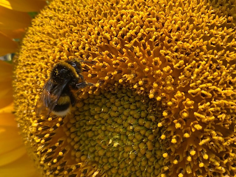 Measuring Cups : de Trôo à La&nbsp;Flèche