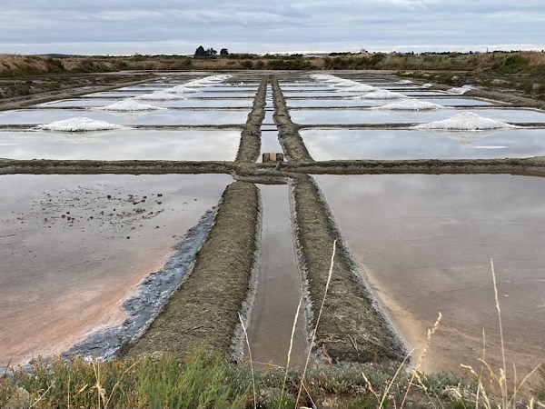 Kashmir : de La Baule à&nbsp;Arzal