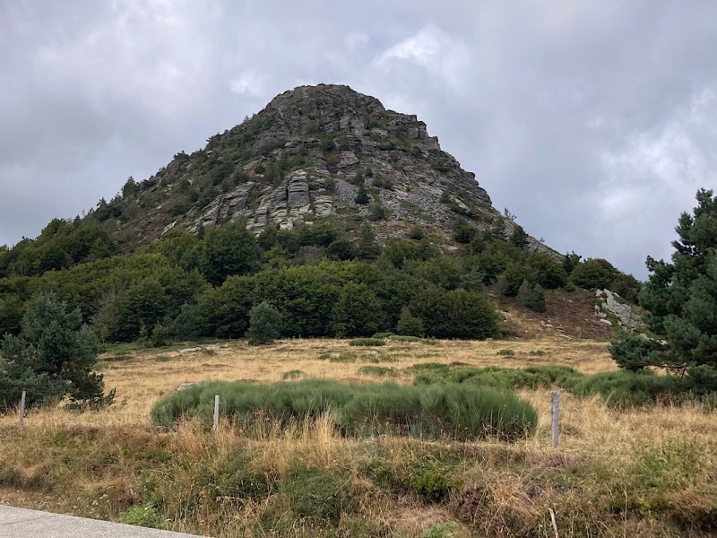 Which One I Feed : de Borne aux&nbsp;Estables