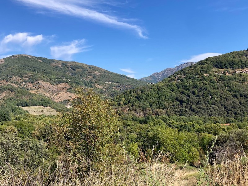 Sean Penn, Mitchum : de Laviolle à&nbsp;Borne