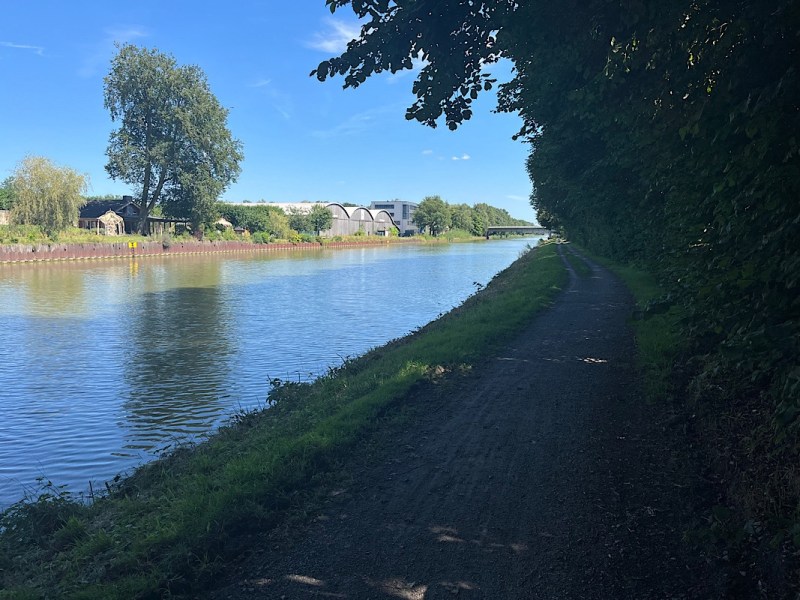 Animal : de Hengelo à&nbsp;Tecklenburg