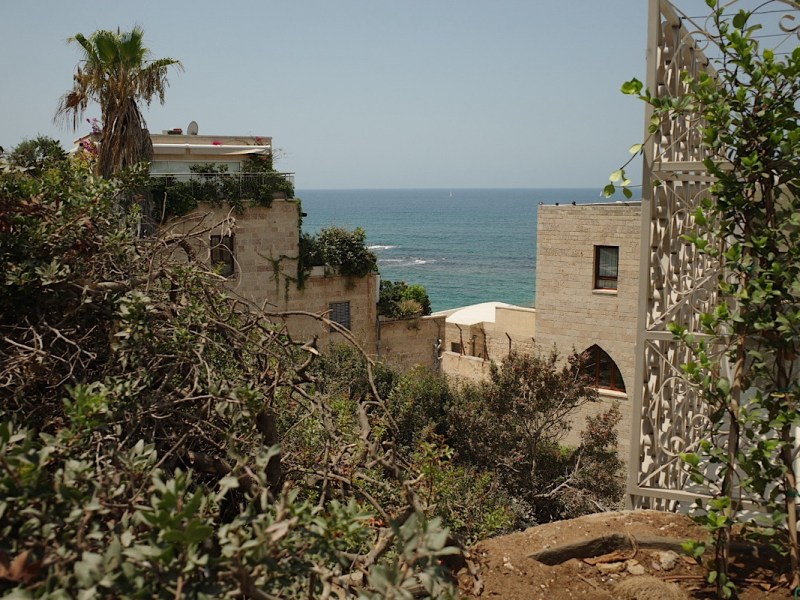 Brethren of Roma: la Terre&nbsp;Promise